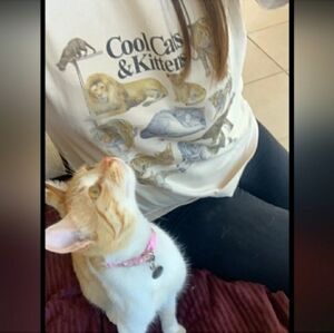 Cool Cats & Kittens Short Sleeve Oversized Vintage Tee